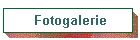 Fotogalerie